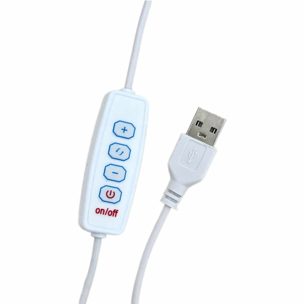 Attack on Titan A01 Light Painting