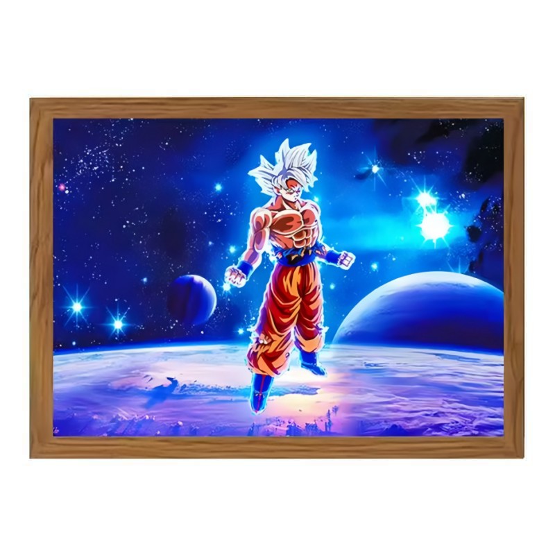 Dragon Ball Goku NEW Light Painting